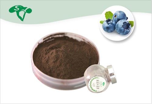 Bilberry Extract 25% Anthocyanins